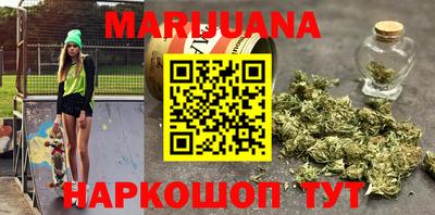 Альфа ПВП Можга
